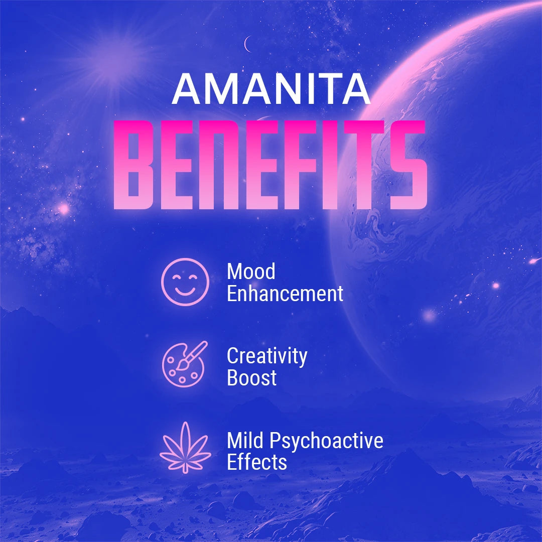 Moonwlkr - Mushroom Gummies (Blue Raspberry)